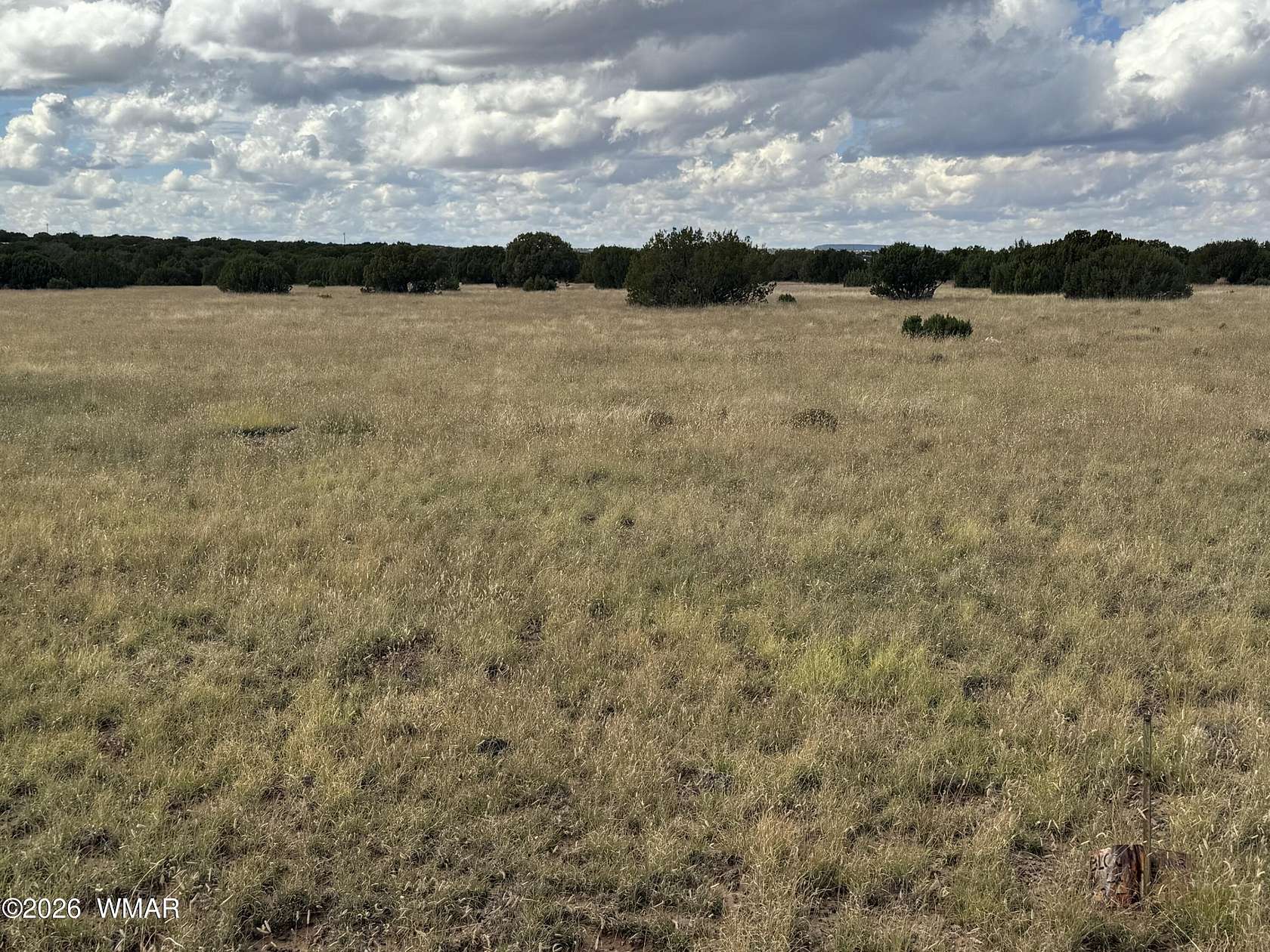 1 Acre of Residential Land for Sale in Concho, Arizona