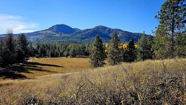 20 Acres of Agricultural & Residential Land for Sale in Addy, Washington