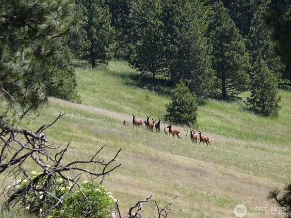 60 Acres of Recreational Land for Sale in Waitsburg, Washington