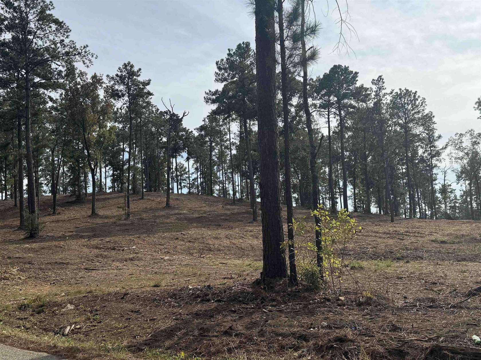 0.5 Acres of Residential Land for Sale in Brookeland, Texas