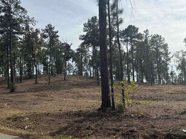 0.5 Acres of Residential Land for Sale in Brookeland, Texas