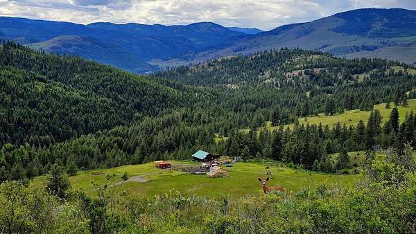 40 Acres of Agricultural Land with Home for Sale in Curlew, Washington