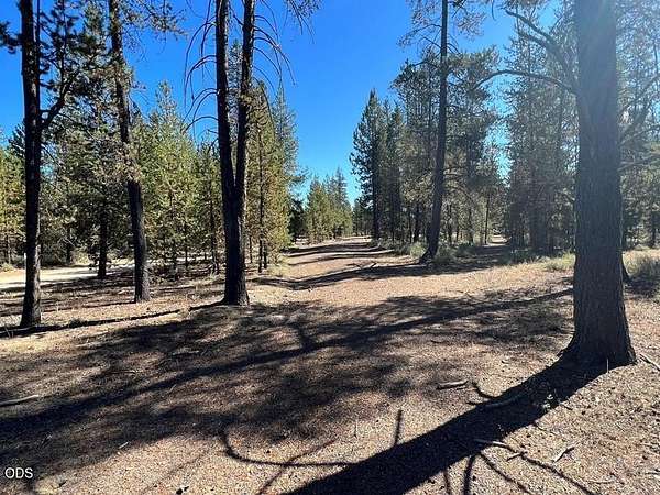 1 Acre of Residential Land for Sale in Gilchrist, Oregon