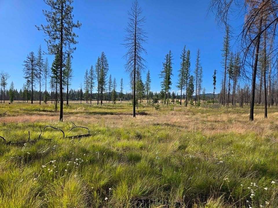 10 Acres of Residential Land for Sale in Elk, Washington