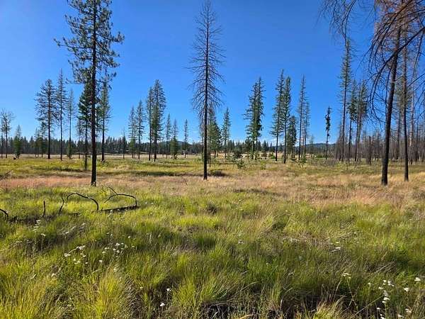 10 Acres of Residential Land for Sale in Elk, Washington