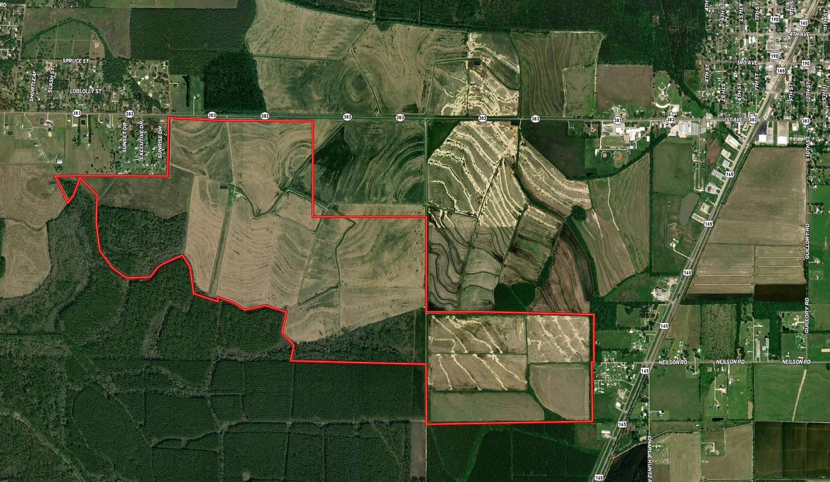 923 Acres of Land for Sale in Kinder, Louisiana