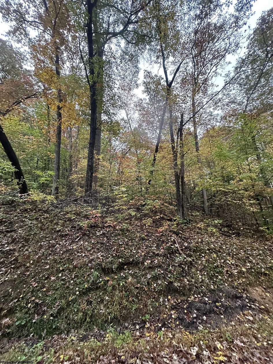 5 Acres of Residential Land for Sale in Camden on Gauley, West Virginia