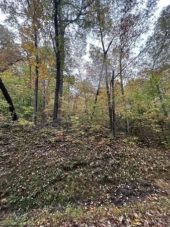 5 Acres of Residential Land for Sale in Camden on Gauley, West Virginia
