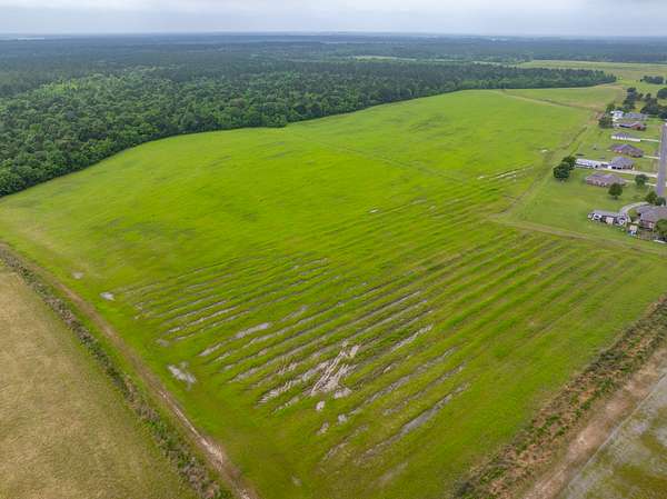 120 Acres of Land for Sale in Kinder, Louisiana