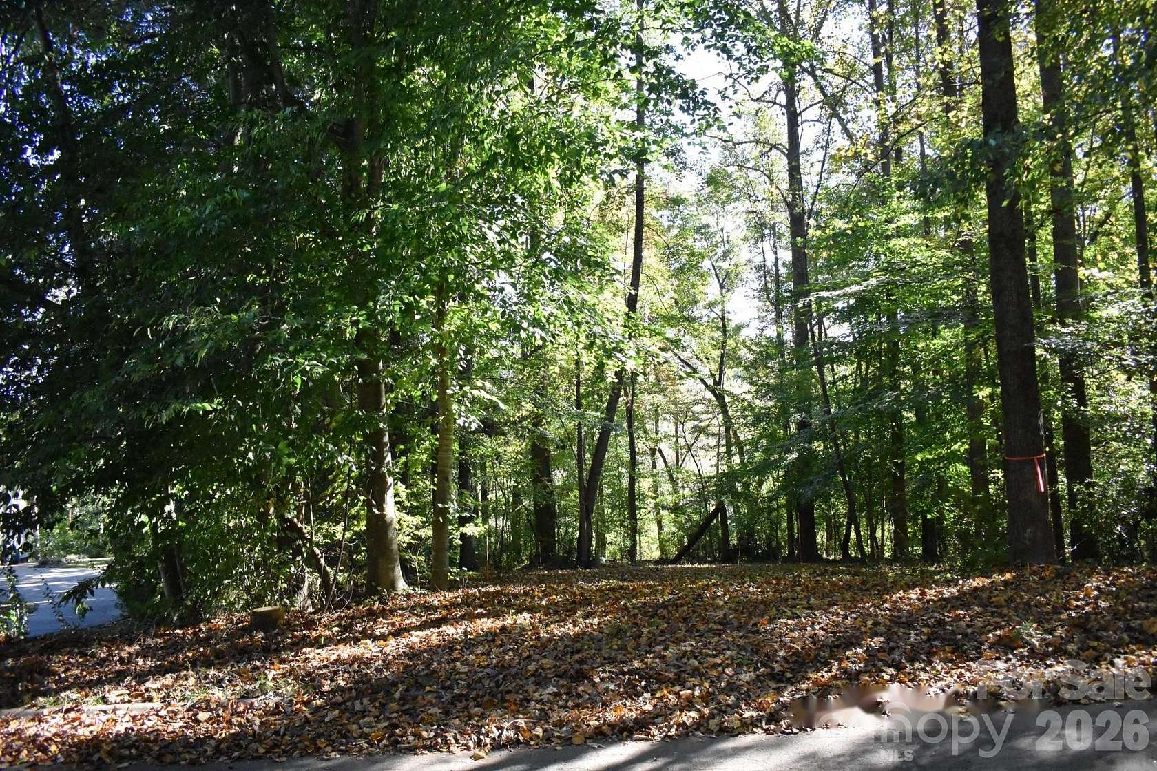 0.44 Acres of Residential Land for Sale in Rutherfordton, North Carolina