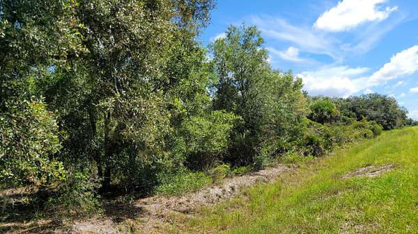1.25 Acres of Residential Land for Sale in Okeechobee, Florida