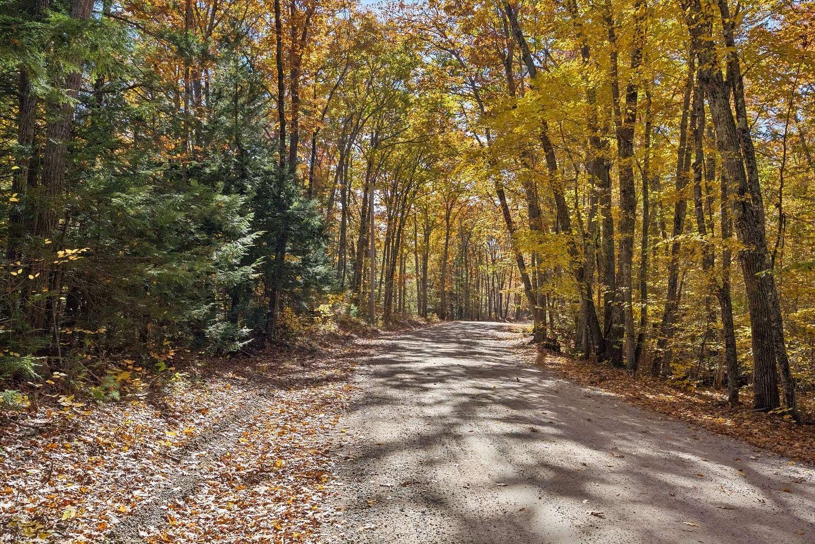 42 Acres of Recreational Land for Sale in Acton, Maine