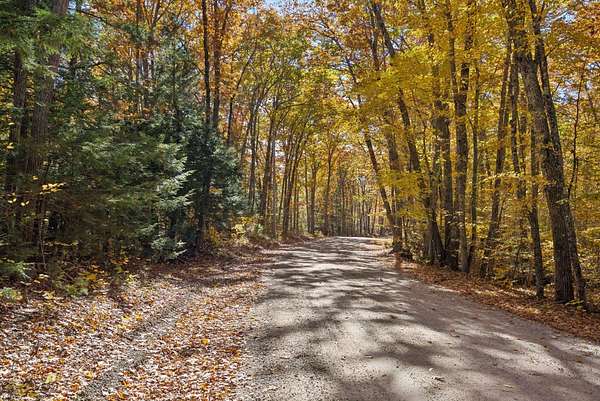 42 Acres of Recreational Land for Sale in Acton, Maine