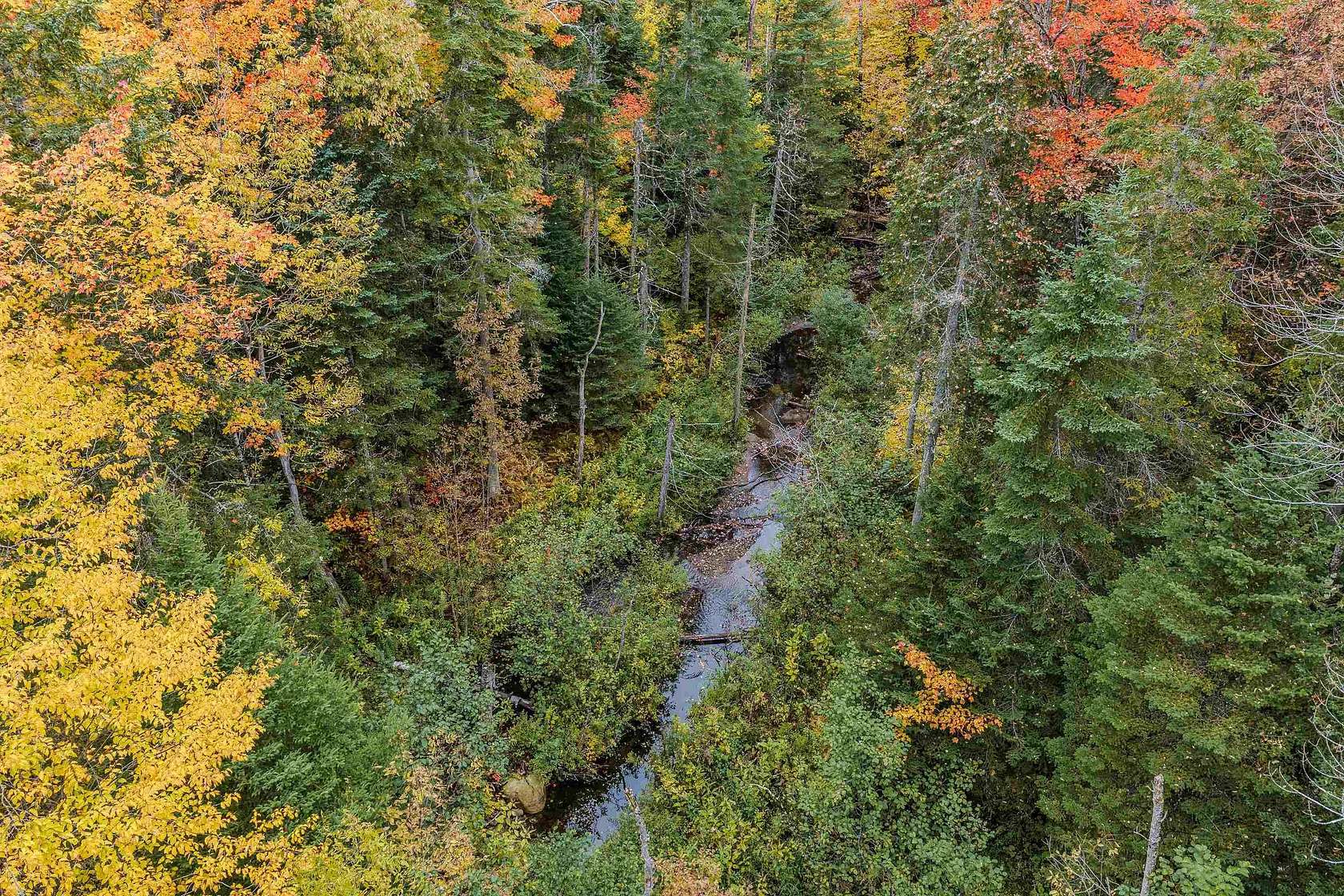 10 Acres of Residential Land for Sale in Littleton, New Hampshire