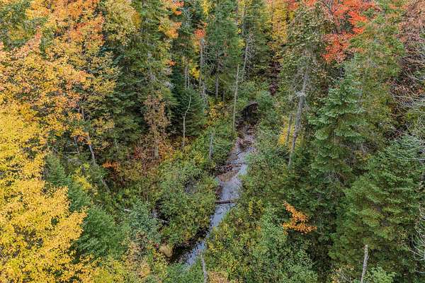 10 Acres of Residential Land for Sale in Littleton, New Hampshire