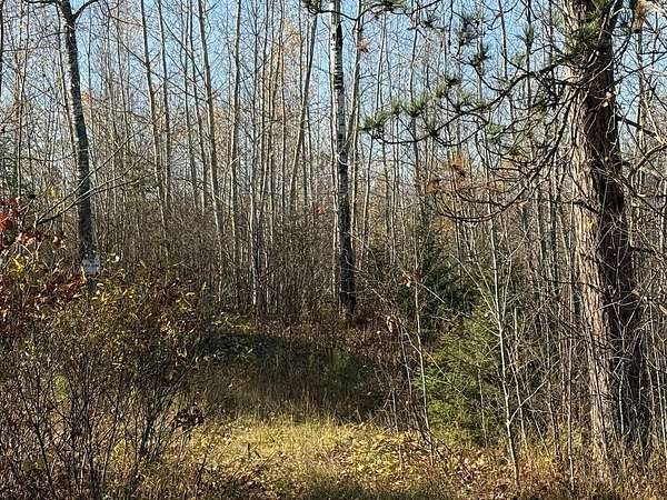 115 Acres of Recreational Land for Sale in Holyoke, Minnesota