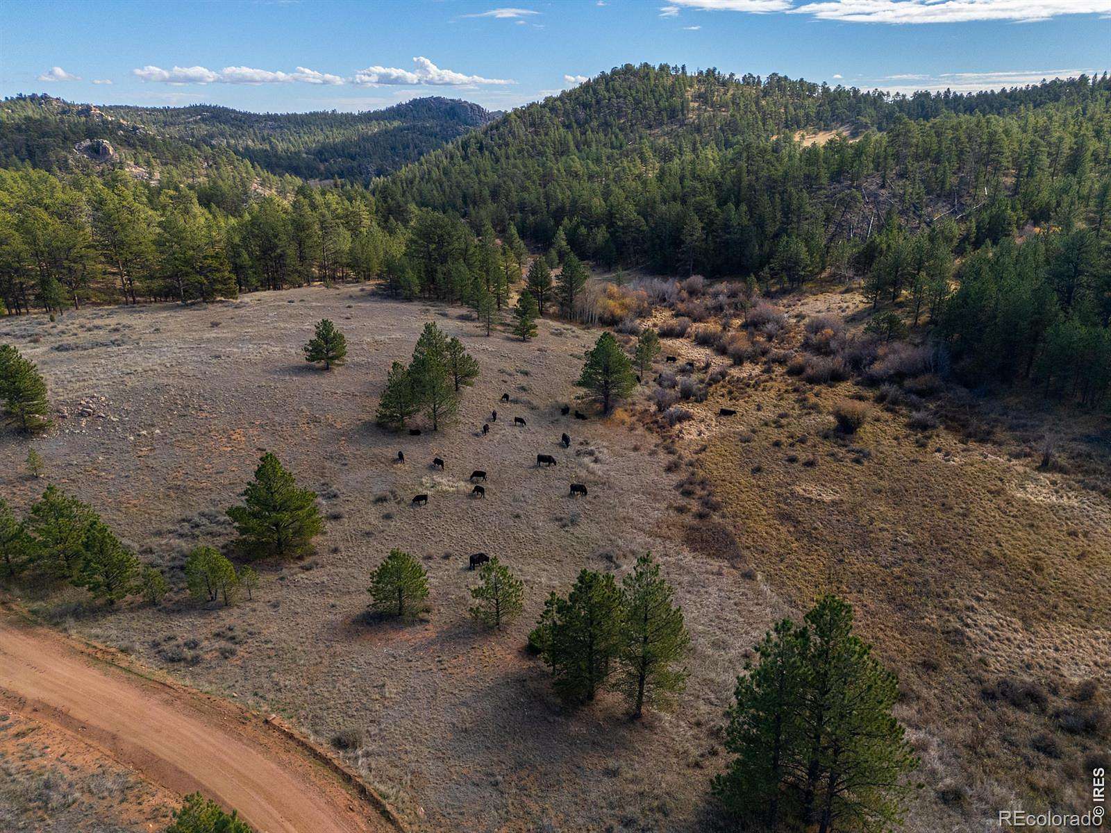 40 Acres of Recreational Land for Sale in Livermore, Colorado