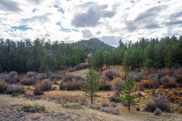 40 Acres of Recreational & Residential Land for Sale in Livermore, Colorado