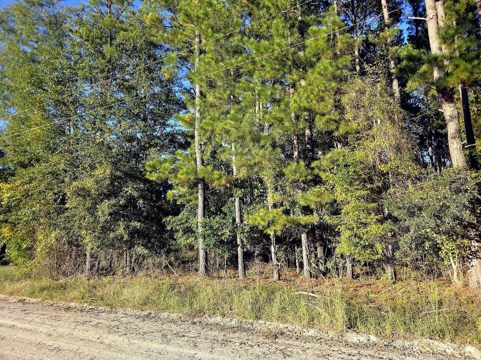 0.68 Acres of Residential Land for Sale in Manning, South Carolina