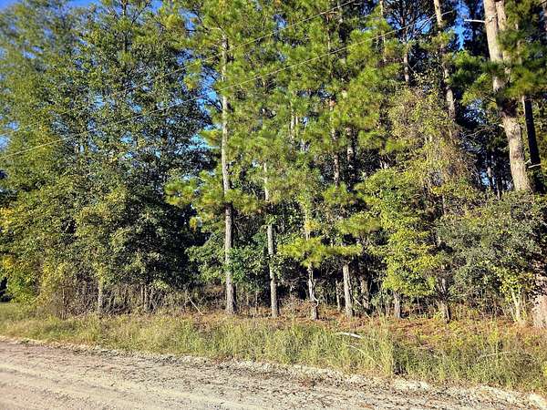 0.68 Acres of Residential Land for Sale in Manning, South Carolina