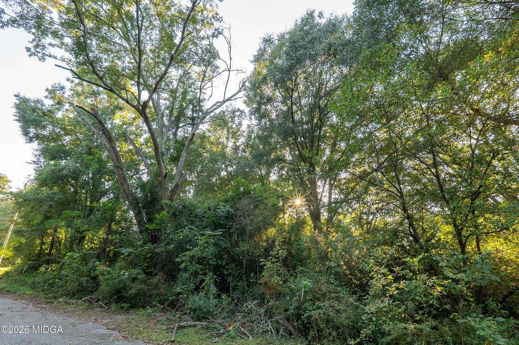 0.38 Acres of Residential Land for Sale in Forsyth, Georgia