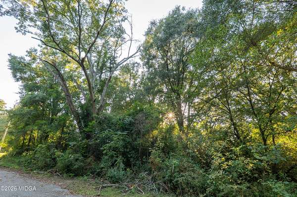 0.38 Acres of Residential Land for Sale in Forsyth, Georgia