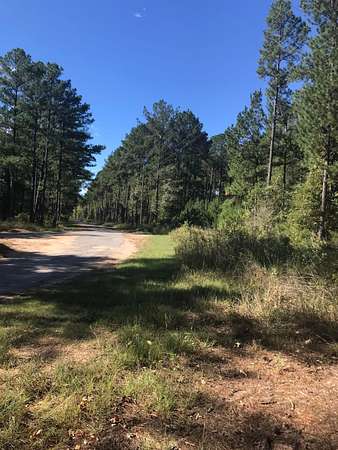 153 Acres of Recreational Land for Sale in Waynesboro, Mississippi