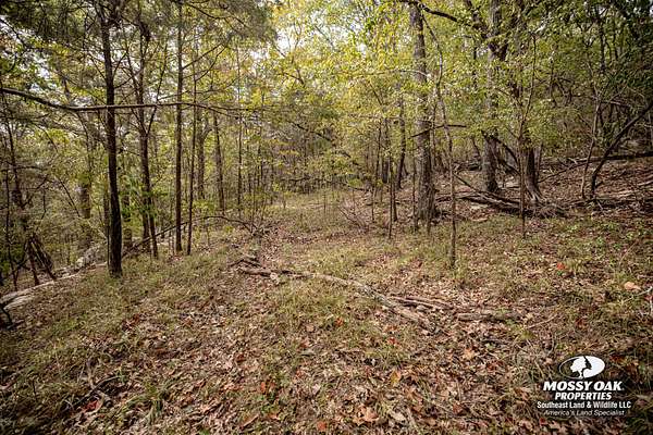 40 Acres of Recreational Land for Sale in Gurley, Alabama