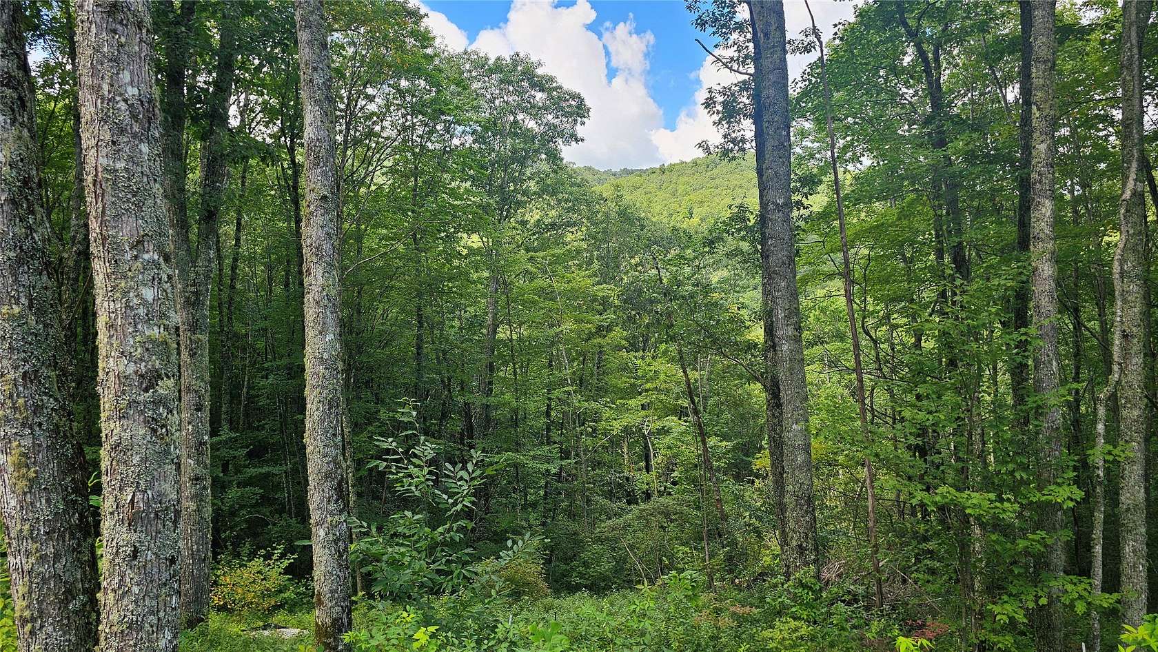 2.69 Acres of Land for Sale in Glenville, North Carolina