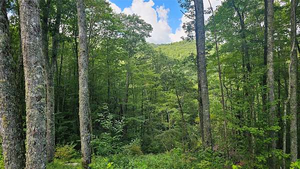 2.69 Acres of Land for Sale in Glenville, North Carolina