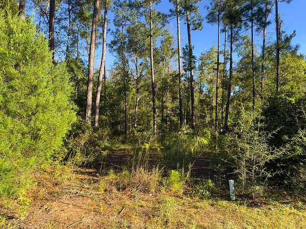 1.65 Acres of Residential Land for Sale in Wewahitchka, Florida