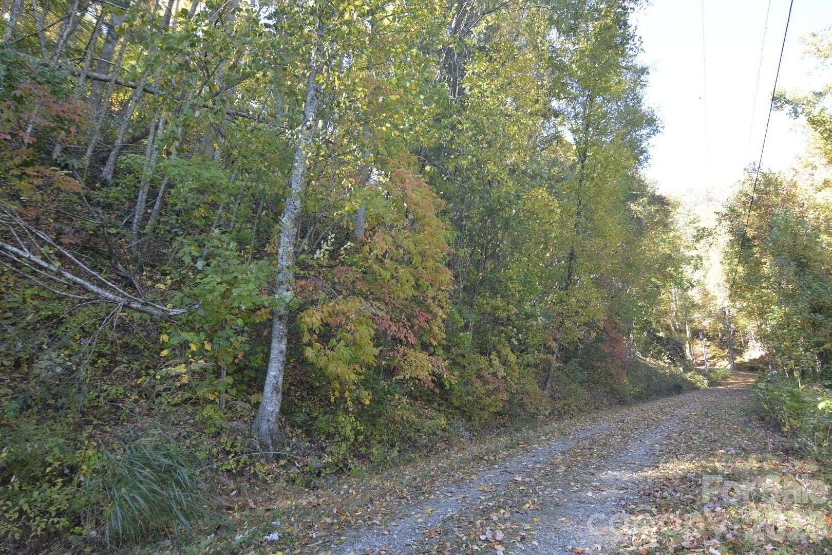 1.58 Acres of Residential Land for Sale in Barnardsville, North Carolina