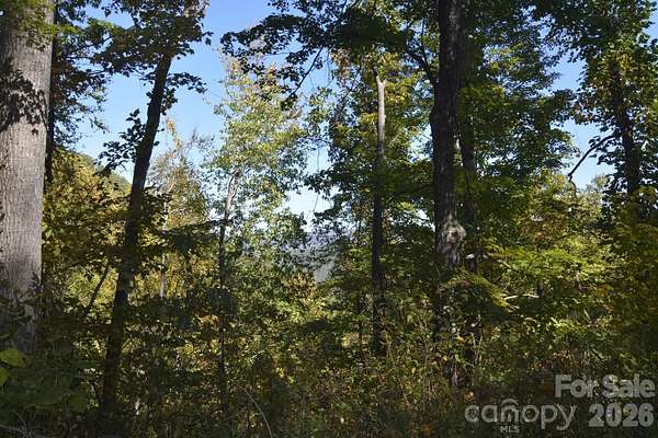 1.58 Acres of Residential Land for Sale in Barnardsville, North Carolina