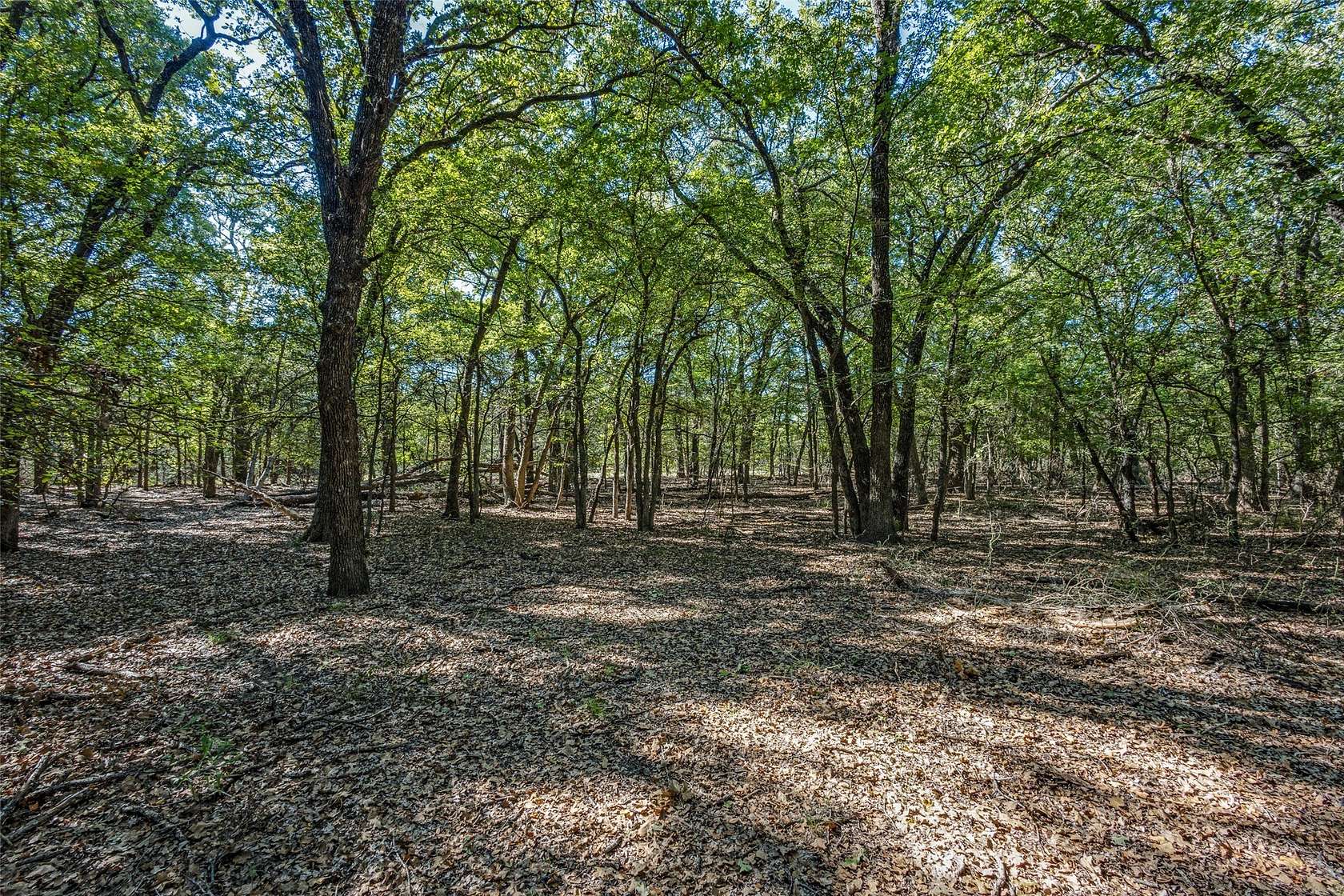 24.8 Acres of Land for Sale in Collinsville, Texas