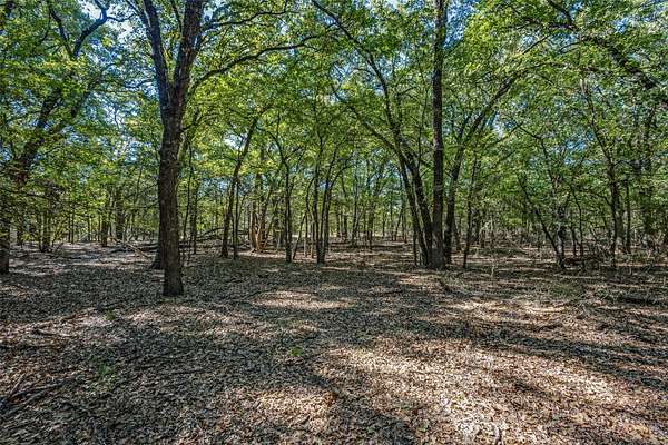 24.8 Acres of Land for Sale in Collinsville, Texas