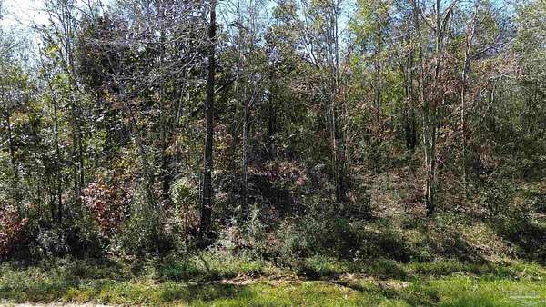 2 Acres of Residential Land for Sale in Jay, Florida