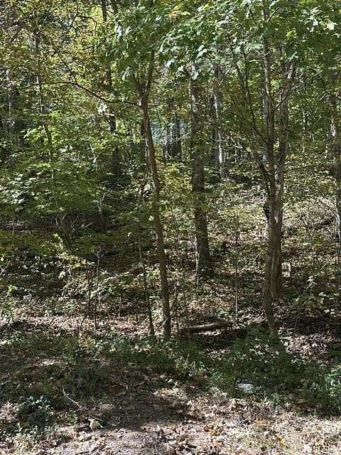 0.55 Acres of Residential Land for Sale in Russellville, Tennessee