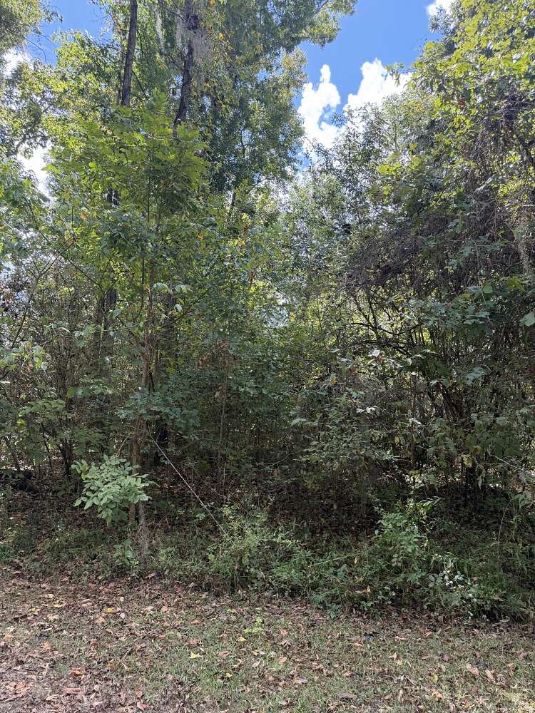 0.44 Acres of Residential Land for Sale in Orrville, Alabama