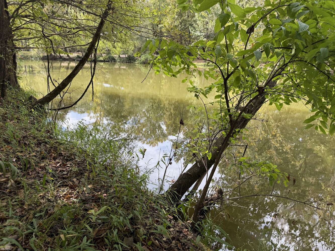 0.35 Acres of Residential Land for Sale in Orrville, Alabama