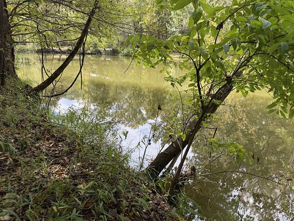 0.35 Acres of Residential Land for Sale in Orrville, Alabama