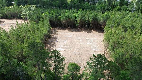 2 Acres of Residential Land for Sale in Cross, South Carolina