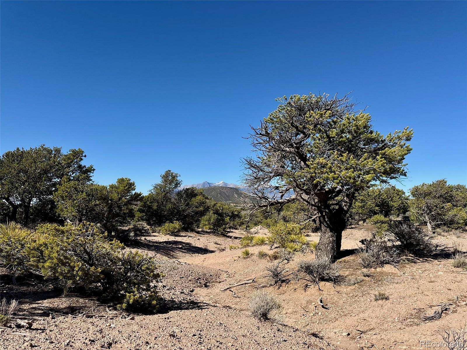 5 Acres of Land for Sale in Fort Garland, Colorado