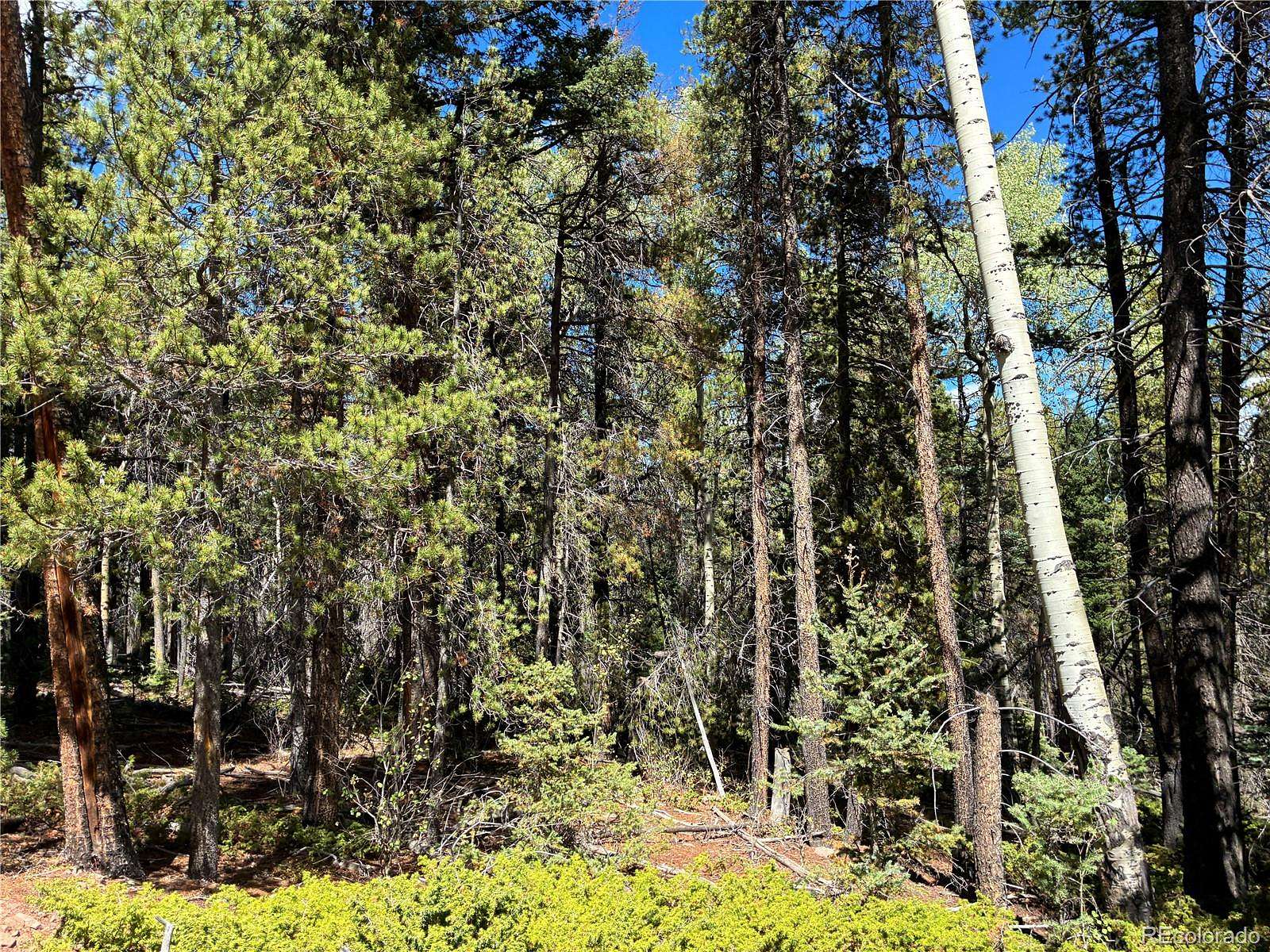 2.2 Acres of Land for Sale in Fort Garland, Colorado