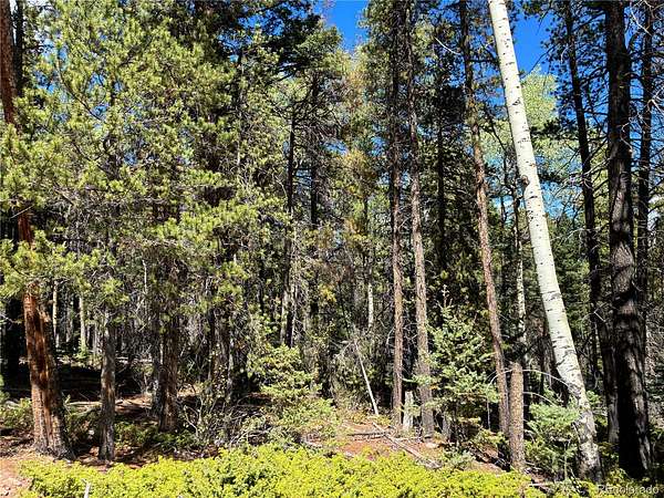 2.2 Acres of Land for Sale in Fort Garland, Colorado