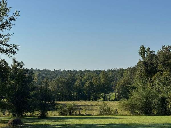 203 Acres of Land for Sale in Batesville, Mississippi