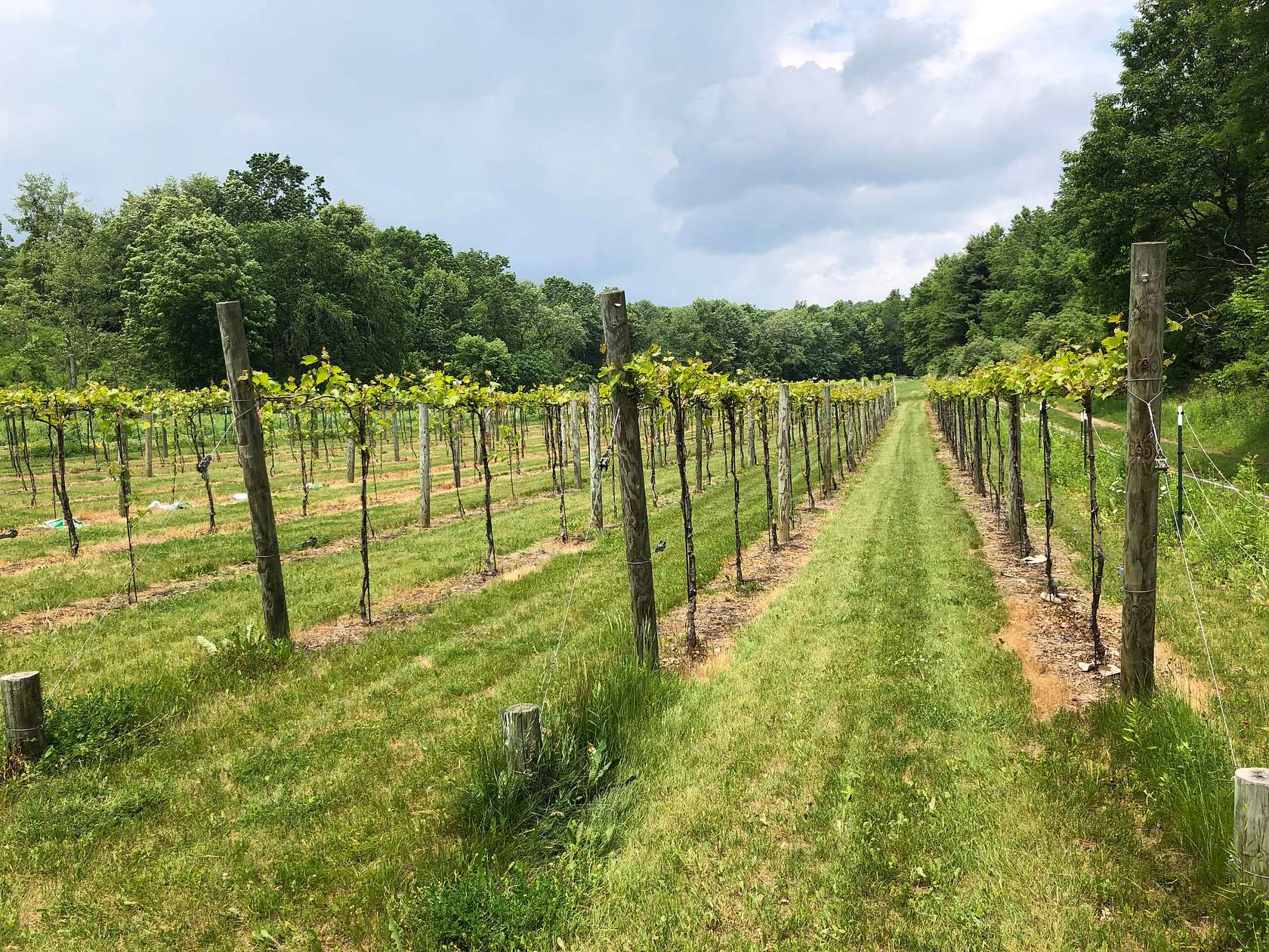 10.4 Acres of Agricultural Land for Sale in Cambridge, New York