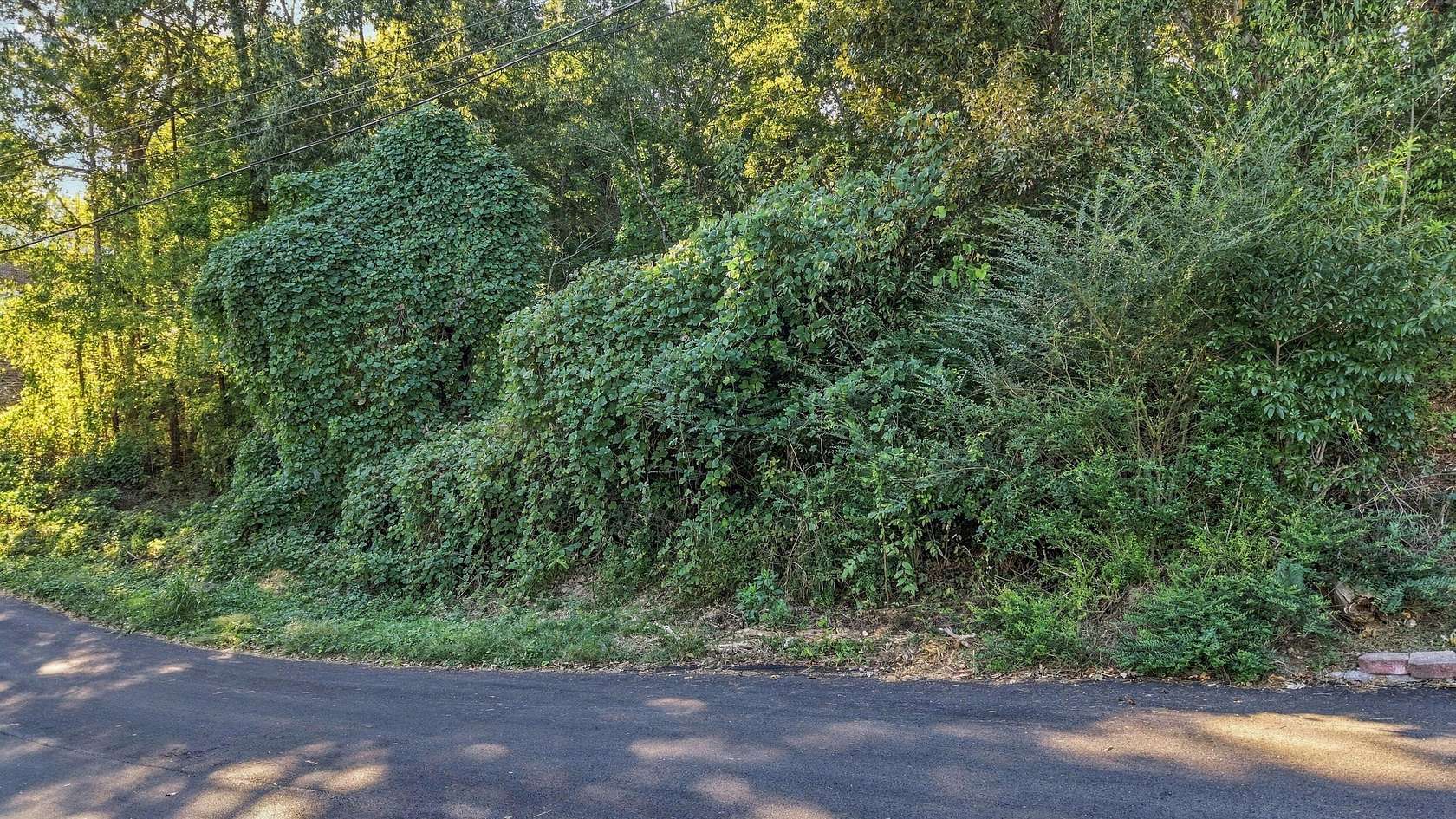 0.42 Acres of Residential Land for Sale in Hixson, Tennessee