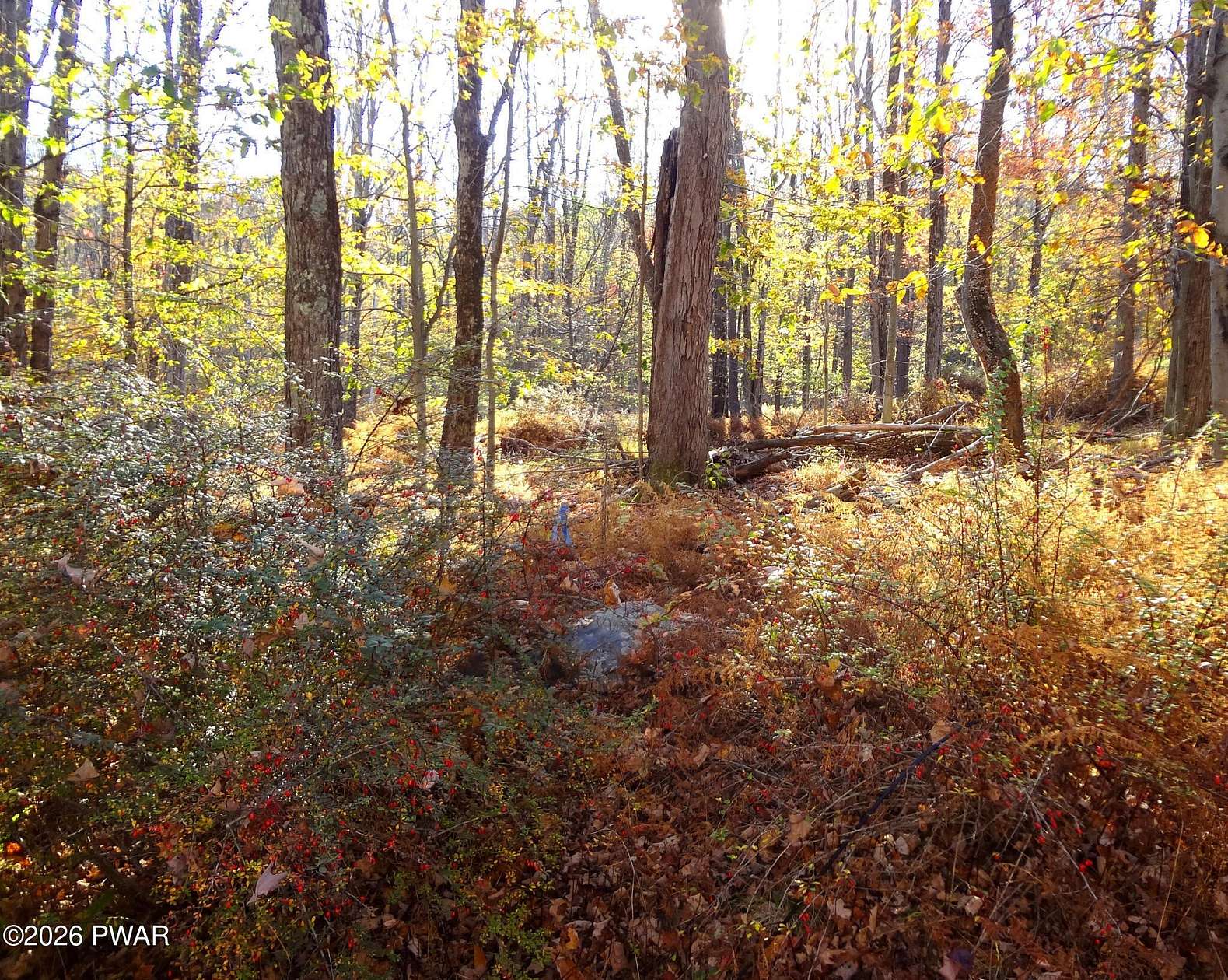 0.47 Acres of Residential Land for Sale in Greentown, Pennsylvania