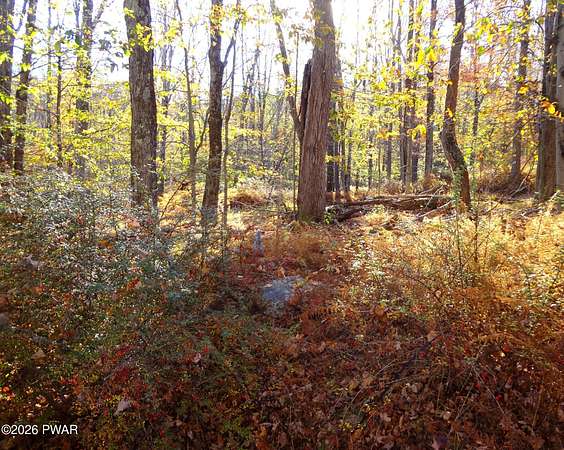 0.47 Acres of Residential Land for Sale in Greentown, Pennsylvania