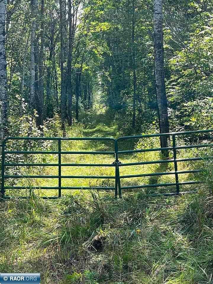 180 Acres of Recreational Land for Sale in Ray, Minnesota